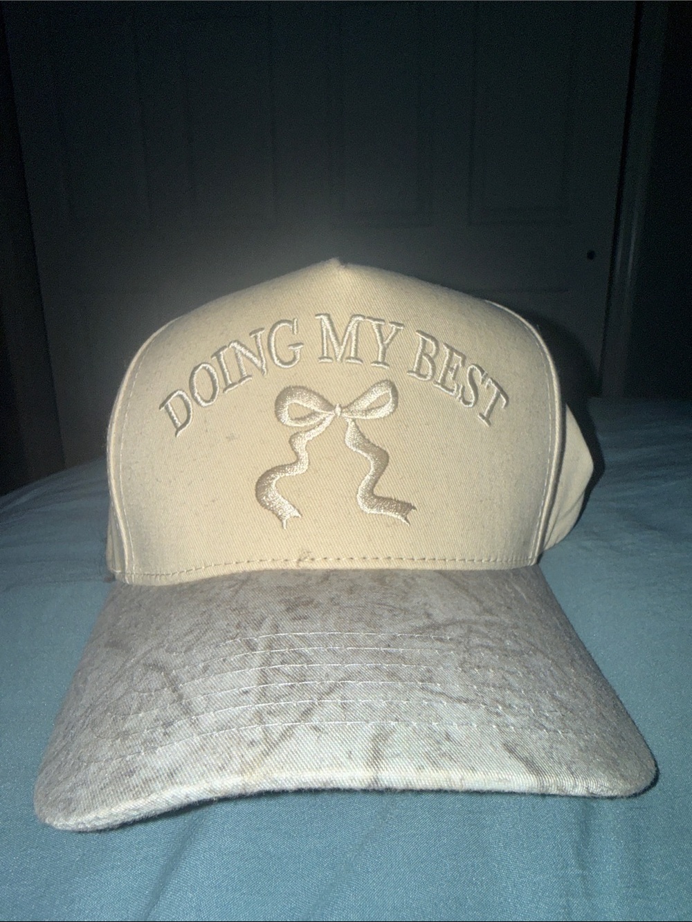 Doing My Best Embroidered snap back